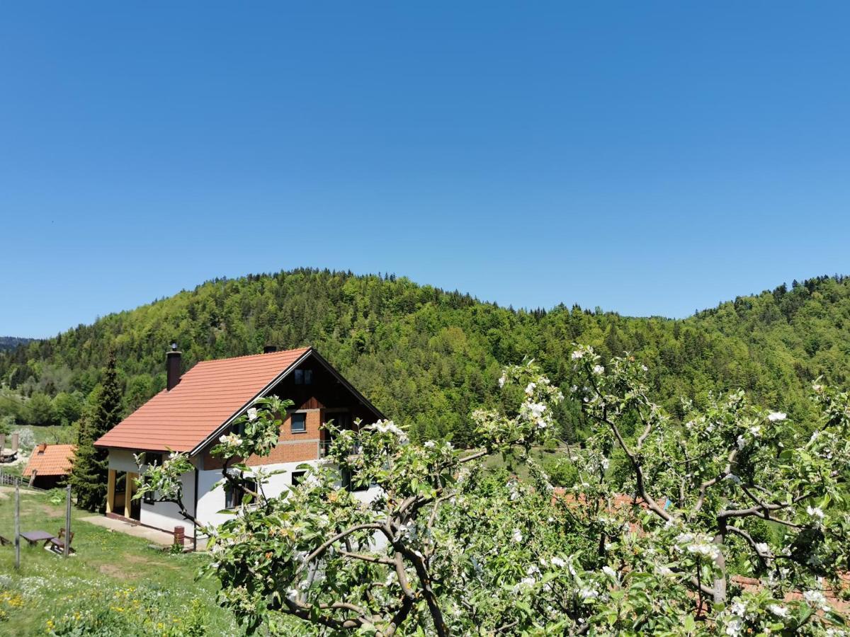Planinski Mir Zaovine Экстерьер фото